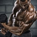 Understanding the Functions of Testosterone in the Body